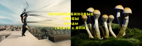 дживик Баксан