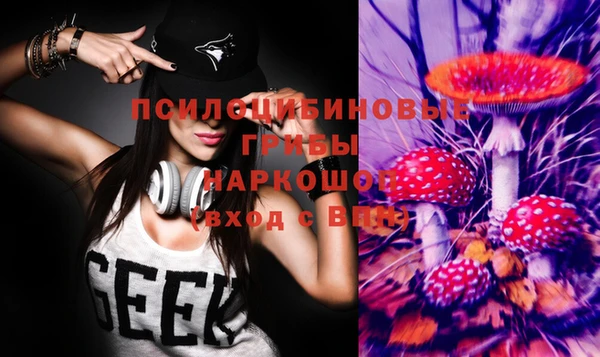 дживик Баксан
