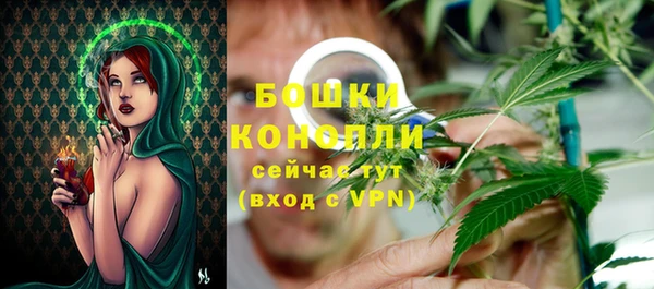 дживик Баксан
