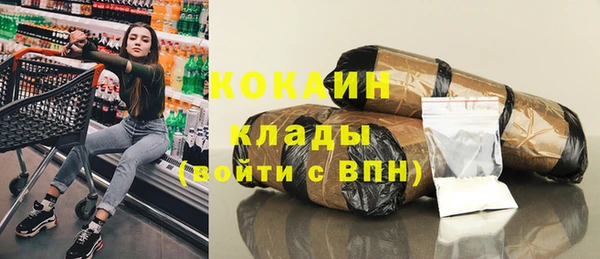 дживик Баксан