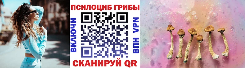 Псилоцибиновые грибы MAGIC MUSHROOMS  дарк нет формула  Кремёнки  KRAKEN сайт 
